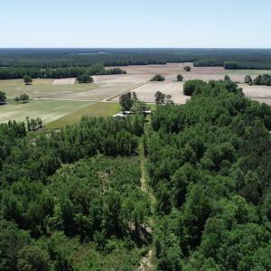 Photo of UNDER CONTRACT! 23.12 Acres of Land and Home For Sale in Pitt County NC!