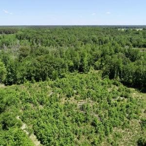 Photo of UNDER CONTRACT! 23.12 Acres of Land and Home For Sale in Pitt County NC!