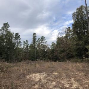 Photo of UNDER CONTRACT!  31 Acres of Hunting Land For Sale in Cumberland County NC!