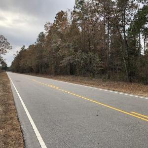 Photo of UNDER CONTRACT!  31 Acres of Hunting Land For Sale in Cumberland County NC!