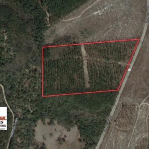 Photo of UNDER CONTRACT!  31 Acres of Hunting Land For Sale in Cumberland County NC!