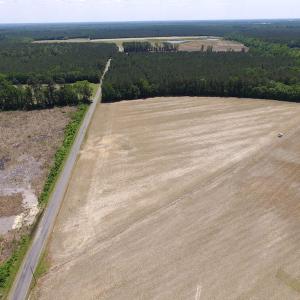 Photo of UNDER CONTRACT!  13.3 Acres of Farm Timber and Hunting Land For Sale in Sussex County VA!