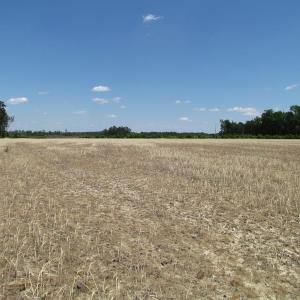 Photo of UNDER CONTRACT!  13.3 Acres of Farm Timber and Hunting Land For Sale in Sussex County VA!