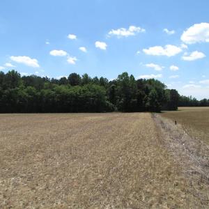 Photo of UNDER CONTRACT!  13.3 Acres of Farm Timber and Hunting Land For Sale in Sussex County VA!