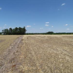 Photo of UNDER CONTRACT!  13.3 Acres of Farm Timber and Hunting Land For Sale in Sussex County VA!