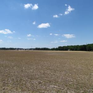 Photo of UNDER CONTRACT!  13.3 Acres of Farm Timber and Hunting Land For Sale in Sussex County VA!