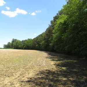 Photo of UNDER CONTRACT!  13.3 Acres of Farm Timber and Hunting Land For Sale in Sussex County VA!