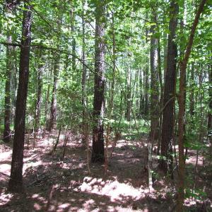 Photo of UNDER CONTRACT!  13.3 Acres of Farm Timber and Hunting Land For Sale in Sussex County VA!