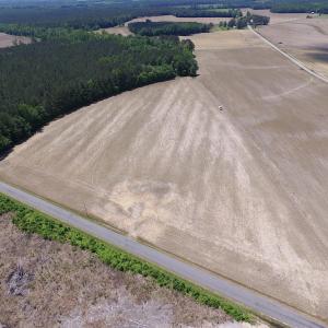 Photo of UNDER CONTRACT!  13.3 Acres of Farm Timber and Hunting Land For Sale in Sussex County VA!