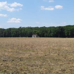 Photo of UNDER CONTRACT!  13.3 Acres of Farm Timber and Hunting Land For Sale in Sussex County VA!