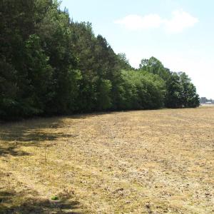 Photo of UNDER CONTRACT!  13.3 Acres of Farm Timber and Hunting Land For Sale in Sussex County VA!