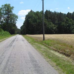 Photo of UNDER CONTRACT!  13.3 Acres of Farm Timber and Hunting Land For Sale in Sussex County VA!