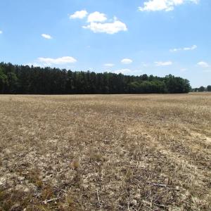 Photo of UNDER CONTRACT!  13.3 Acres of Farm Timber and Hunting Land For Sale in Sussex County VA!