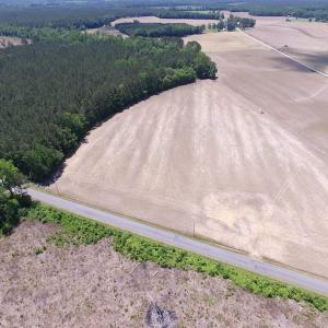 Photo of UNDER CONTRACT!  13.3 Acres of Farm Timber and Hunting Land For Sale in Sussex County VA!