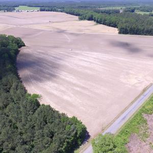 Photo of UNDER CONTRACT!  13.3 Acres of Farm Timber and Hunting Land For Sale in Sussex County VA!