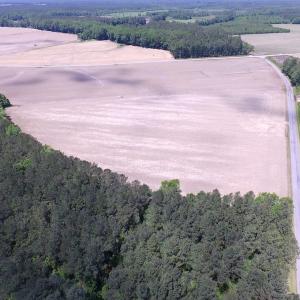 Photo of UNDER CONTRACT!  13.3 Acres of Farm Timber and Hunting Land For Sale in Sussex County VA!