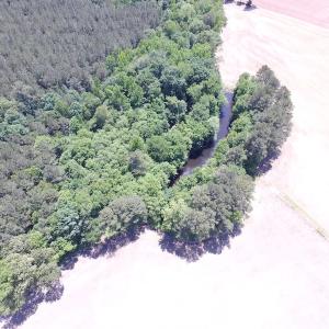 Photo of UNDER CONTRACT!  13.3 Acres of Farm Timber and Hunting Land For Sale in Sussex County VA!