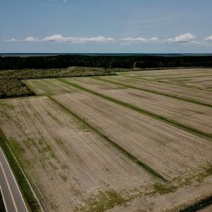 Photo of UNDER CONTRACT!  75 Acres of Farm and Hunting Land For Sale in Tyrrell County NC!