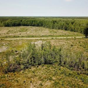 Photo of UNDER CONTRACT!  75 Acres of Farm and Hunting Land For Sale in Tyrrell County NC!