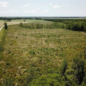 Photo of UNDER CONTRACT!  75 Acres of Farm and Hunting Land For Sale in Tyrrell County NC!