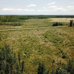 Photo of UNDER CONTRACT!  75 Acres of Farm and Hunting Land For Sale in Tyrrell County NC!