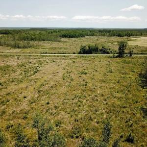 Photo of UNDER CONTRACT!  75 Acres of Farm and Hunting Land For Sale in Tyrrell County NC!