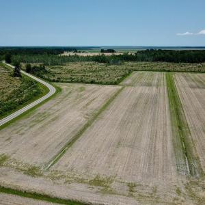 Photo of UNDER CONTRACT!  75 Acres of Farm and Hunting Land For Sale in Tyrrell County NC!