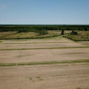 Photo of UNDER CONTRACT!  75 Acres of Farm and Hunting Land For Sale in Tyrrell County NC!