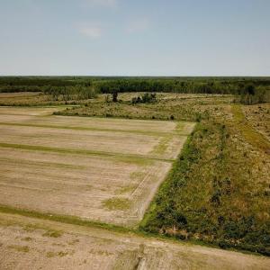 Photo of UNDER CONTRACT!  75 Acres of Farm and Hunting Land For Sale in Tyrrell County NC!