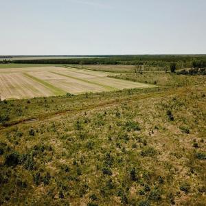 Photo of UNDER CONTRACT!  75 Acres of Farm and Hunting Land For Sale in Tyrrell County NC!
