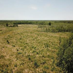 Photo of UNDER CONTRACT!  75 Acres of Farm and Hunting Land For Sale in Tyrrell County NC!