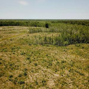Photo of UNDER CONTRACT!  75 Acres of Farm and Hunting Land For Sale in Tyrrell County NC!