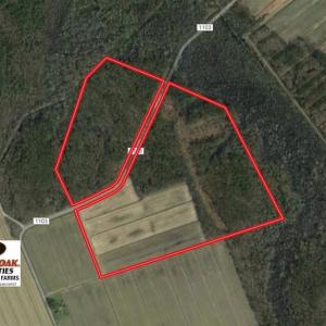 Photo of UNDER CONTRACT!  75 Acres of Farm and Hunting Land For Sale in Tyrrell County NC!