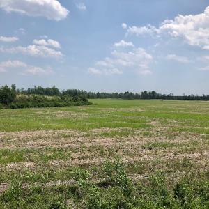 Photo of UNDER CONTRACT!  75 Acres of Farm and Hunting Land For Sale in Tyrrell County NC!