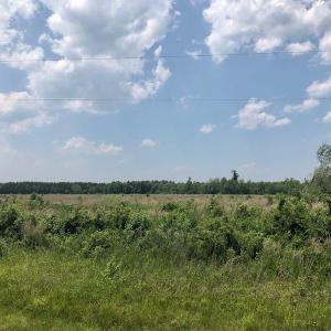 Photo of UNDER CONTRACT!  75 Acres of Farm and Hunting Land For Sale in Tyrrell County NC!