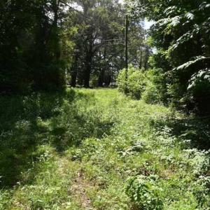 Photo of SOLD!!  91 Acres of Undeveloped Residential Land For Sale in Gloucester County VA!