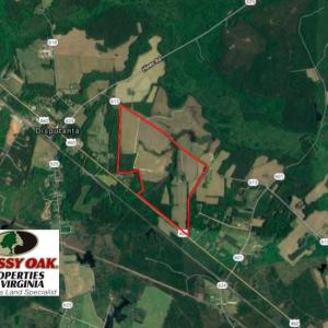 Photo of SOLD!  276 Acres of Farm and Hunting Land For Sale in Prince George County VA!