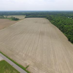 Photo of SOLD!  276 Acres of Farm and Hunting Land For Sale in Prince George County VA!