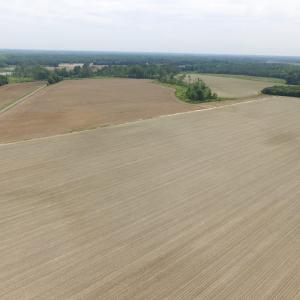 Photo of SOLD!  276 Acres of Farm and Hunting Land For Sale in Prince George County VA!