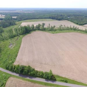 Photo of SOLD!  276 Acres of Farm and Hunting Land For Sale in Prince George County VA!