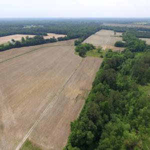 Photo of SOLD!  276 Acres of Farm and Hunting Land For Sale in Prince George County VA!