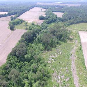 Photo of SOLD!  276 Acres of Farm and Hunting Land For Sale in Prince George County VA!