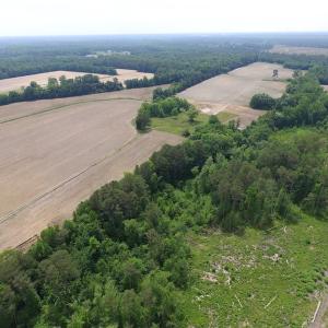 Photo of SOLD!  276 Acres of Farm and Hunting Land For Sale in Prince George County VA!
