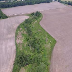 Photo of SOLD!  276 Acres of Farm and Hunting Land For Sale in Prince George County VA!