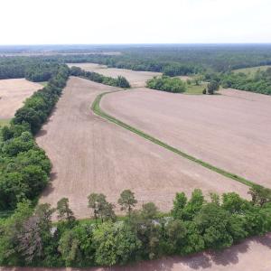 Photo of SOLD!  276 Acres of Farm and Hunting Land For Sale in Prince George County VA!