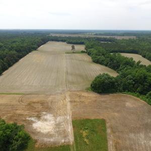 Photo of SOLD!  276 Acres of Farm and Hunting Land For Sale in Prince George County VA!