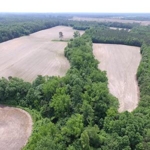Photo of SOLD!  276 Acres of Farm and Hunting Land For Sale in Prince George County VA!
