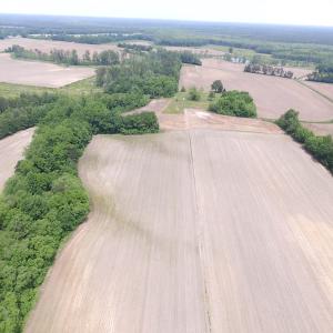 Photo of SOLD!  276 Acres of Farm and Hunting Land For Sale in Prince George County VA!