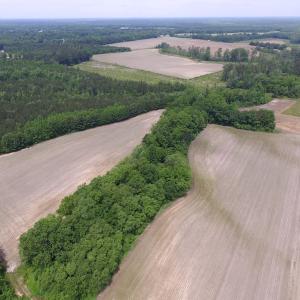 Photo of SOLD!  276 Acres of Farm and Hunting Land For Sale in Prince George County VA!