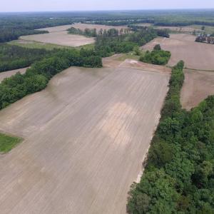 Photo of SOLD!  276 Acres of Farm and Hunting Land For Sale in Prince George County VA!